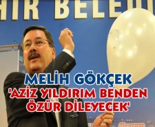 Gökçek 'Aziz Yıldırım benden özür dileyecek'