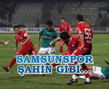 Samsunspor Şahin gibi...