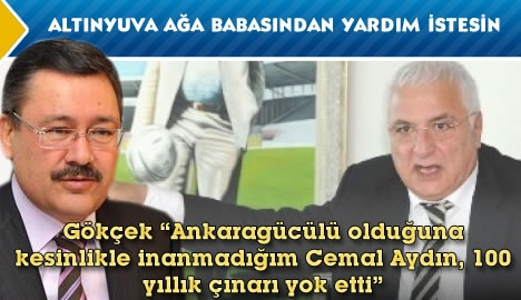 Altınyuva ağa babasından yardım istesin....