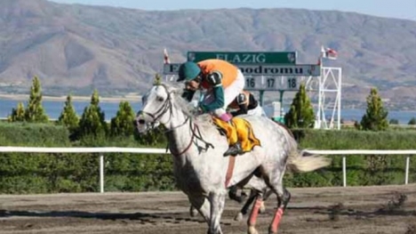 Elazığ altılısı ne kadar verdi?