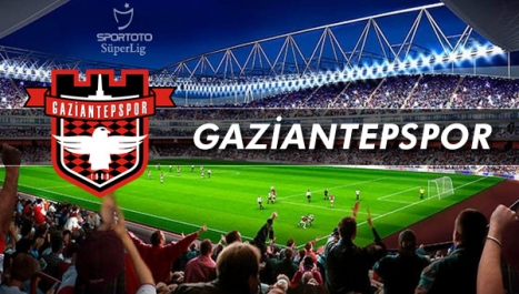 Gaziantepspor kaç passolig sattı?