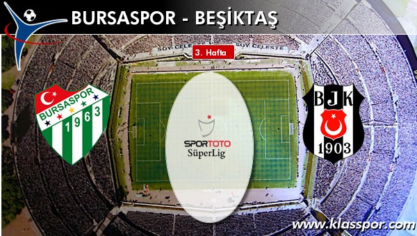 Bursaspor 0 - Beşiktaş 1