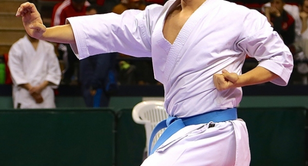 Sakarya'da karate heyecanı