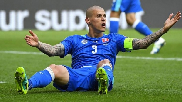 Martin Skrtel, Fenerbahçe'de