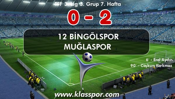 12 Bingölspor 0 - Muğlaspor 2