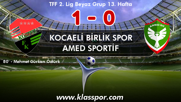 Kocaeli Birlik Spor 1 - Amed Sportif 0